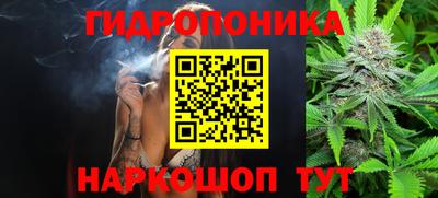 эйфоретик Обь