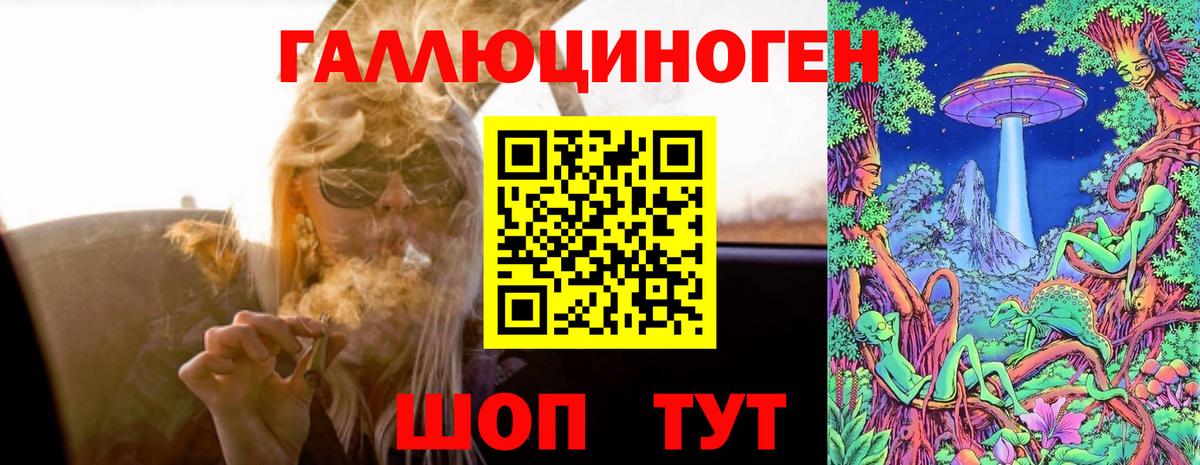 Тара  Псилоцибиновые грибы Psilocybe  Вход с VPN  Галлюциногенные грибы Psilocybe 